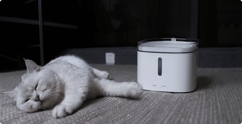 Smart Pet Fountain