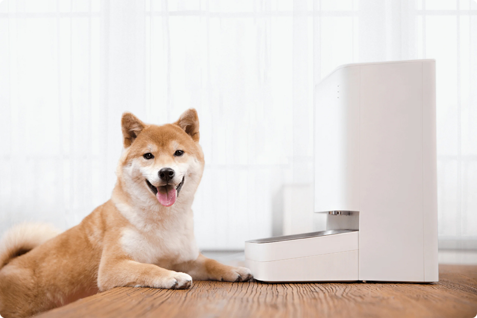 Smart Pet Food Feeder