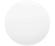 Потолочный светильник Xiaomi Mi Smart LED Ceiling Light (350mm) белый BHR4852TW